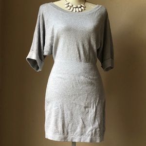 Express Metallic Knit Sweater Dress